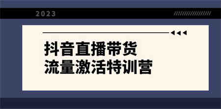 抖音直播带货-流量激活特训营，入行新手小白主播必学（21节课+资料）-侠客分享网