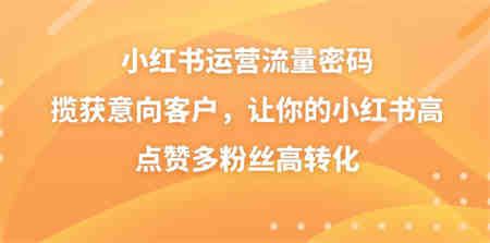 小红书运营流量密码，揽获意向客户，让你的小红书高点赞多粉丝高转化-侠客分享网