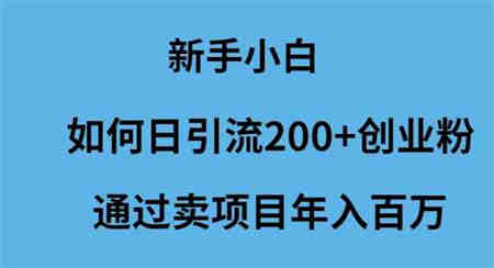 （9668期）新手小白如何日引流200+创业粉通过卖项目年入百万-侠客分享网