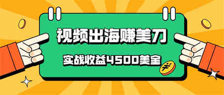 国内爆款视频出海赚美刀，实战收益4500美金，批量无脑搬运，无需经验直接上手-侠客分享网