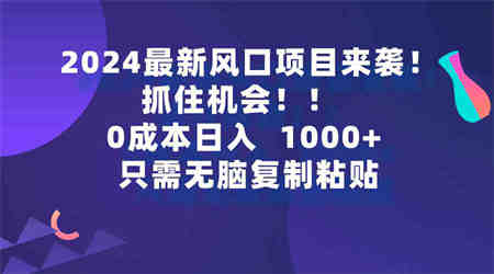 （9899期）2024最新风口项目来袭，抓住机会，0成本一部手机日入1000+，只需无脑复…-侠客分享网