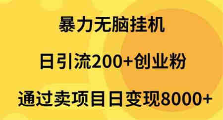 （9788期）暴力无脑挂机日引流200+创业粉通过卖项目日变现2000+-侠客分享网