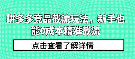 拼多多竞品截流玩法，新手也能0成本精准截流-侠客分享网