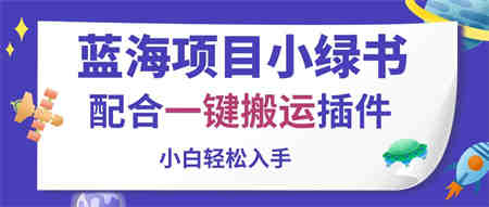 （10841期）蓝海项目小绿书，配合一键搬运插件，小白轻松入手-侠客分享网