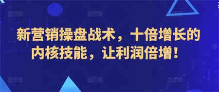 新营销操盘战术，十倍增长的内核技能，让利润倍增！-侠客分享网