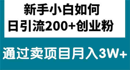 （10843期）新手小白日引流200+创业粉,通过卖项目月入3W+-侠客分享网