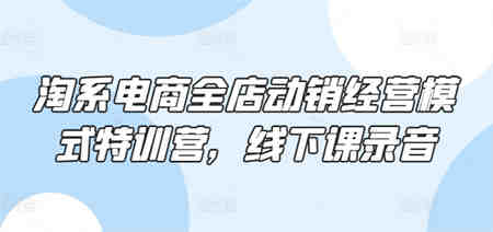 淘系电商全店动销经营模式特训营，线下课录音-侠客分享网