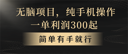 （10699期）无脑项目，一单几百块，轻松月入5w+，看完就能直接操作-侠客分享网