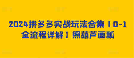 2024拼多多实战玩法合集【0-1全流程详解】照葫芦画瓢-侠客分享网