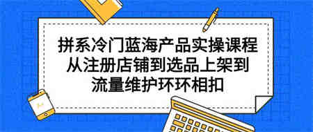 （9527期）拼系冷门蓝海产品实操课程，从注册店铺到选品上架到流量维护环环相扣-侠客分享网