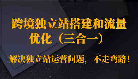 跨境独立站搭建和流量优化（三合一）解决独立站运营问题，不走弯路！-侠客分享网