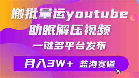 （9727期）批量搬运YouTube解压助眠视频 一键多平台发布 月入2W+-侠客分享网