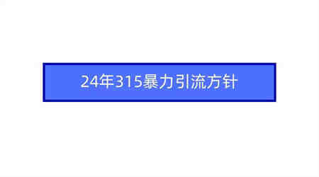 （9398期）2024年315暴力引流方针-侠客分享网