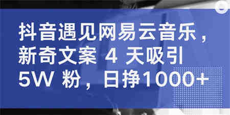 抖音遇见网易云音乐，新奇文案 4 天吸引 5W 粉，日挣1000+-侠客分享网