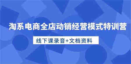 淘系电商全店动销经营模式特训营，线下课录音+文档资料-侠客分享网