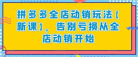 拼多多全店动销玩法【新课】，告别亏损从全店动销开始-侠客分享网