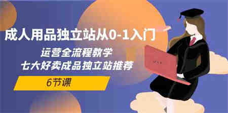 （10082期）成人用品独立站从0-1入门，运营全流程教学，七大好卖成品独立站推荐-6节课-侠客分享网