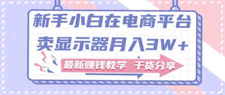 新手小白如何做到在电商平台卖显示器月入3W，最新赚钱教学干货-侠客分享网