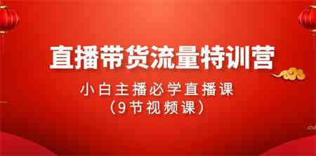 2024直播带货流量特训营，小白主播必学直播课（9节视频课）-侠客分享网