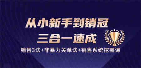 从小新手到销冠 三合一速成：销售3法+非暴力关单法+销售系统挖需课 (27节)-侠客分享网