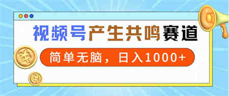 （9133期）2024年视频号，产生共鸣赛道，简单无脑，一分钟一条视频，日入1000+-侠客分享网