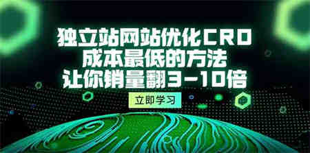 （10173期）独立站网站优化CRO，成本最低的方法，让你销量翻3-10倍（5节课）-侠客分享网