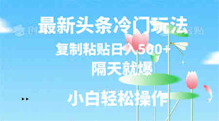 最新头条冷门玩法，隔天就爆，复制粘贴日入500+-侠客分享网