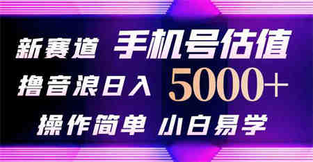 （10154期）抖音不出境直播【手机号估值】最新撸音浪，日入5000+，简单易学，适合…-侠客分享网