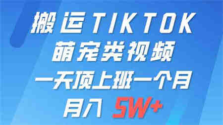 （9931期）一键搬运TIKTOK萌宠类视频 一部手机即可操作 所有平台均可发布 轻松月入5W+-侠客分享网