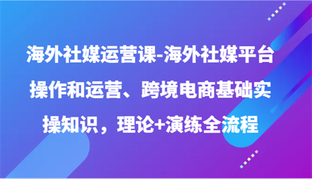 海外社媒运营课-海外社媒平台操作和运营、跨境电商基础实操知识，理论+演练全流程-侠客分享网