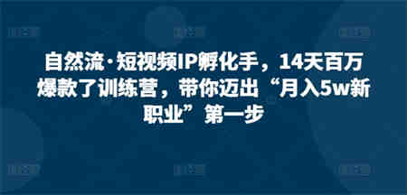 自然流·短视频IP孵化手，14天百万爆款了训练营，带你迈出“月入5w新职业”第一步-侠客分享网