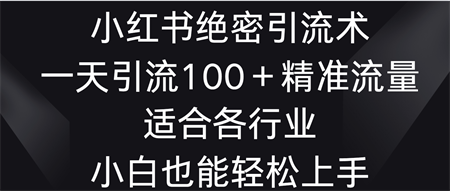 小红书绝密引流术，一天引流100＋精准流量，适合各个行业，小白也能轻松上手-侠客分享网