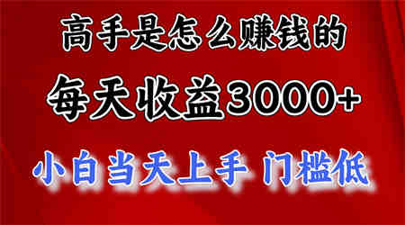 （10436期）高手是怎么赚钱的，一天收益3000+ 这是穷人逆风翻盘的一个项目，非常稳…-侠客分享网