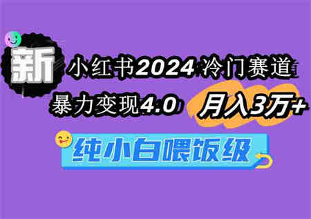 （9133期）小红书2024冷门赛道 月入3万+ 暴力变现4.0 纯小白喂饭级-侠客分享网