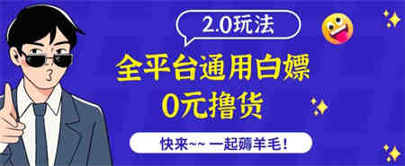 外面收费2980的全平台通用白嫖撸货项目2.0玩法【仅揭秘】-侠客分享网