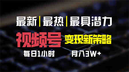 视频号变现新策略，每日一小时月入30000+-侠客分享网