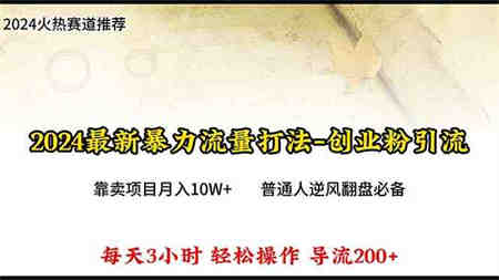 （10151期）2024年最新暴力流量打法，每日导入300+，靠卖项目月入10W+-侠客分享网