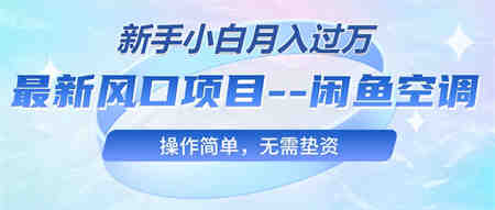 （10767期）最新风口项目—闲鱼空调，新手小白月入过万，操作简单，无需垫资-侠客分享网