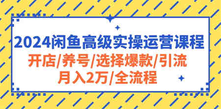 （10711期）2024闲鱼高级实操运营课程：开店/养号/选择爆款/引流/月入2万/全流程-侠客分享网