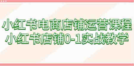 （9249期）小红书电商店铺运营课程，小红书店铺0-1实战教学（60节课）-侠客分享网