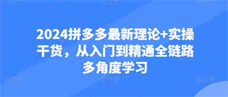 2024拼多多最新理论+实操干货，从入门到精通全链路多角度学习-侠客分享网