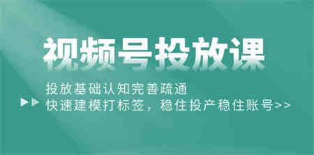 （10205期）视频号投放课：投放基础认知完善疏通，快速建模打标签，稳住投产稳住账号-侠客分享网