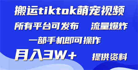 （9618期）搬运Tiktok萌宠类视频，一部手机即可。所有短视频平台均可操作，月入3W+-侠客分享网