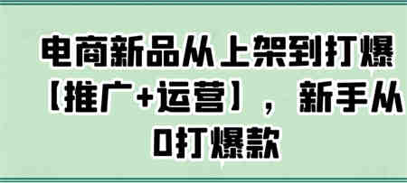 电商新品从上架到打爆【推广+运营】，新手从0打爆款-侠客分享网