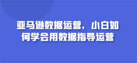 亚马逊数据运营，小白如何学会用数据指导运营-侠客分享网