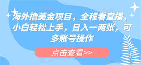 海外撸美金项目，全程看直播，小白轻松上手，日入一两张，可多账号操作-侠客分享网