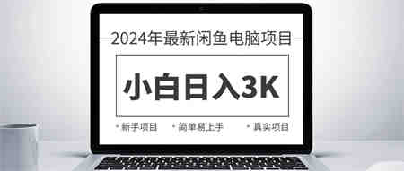 （10845期）2024最新闲鱼卖电脑项目，新手小白日入3K+，最真实的项目教学-侠客分享网