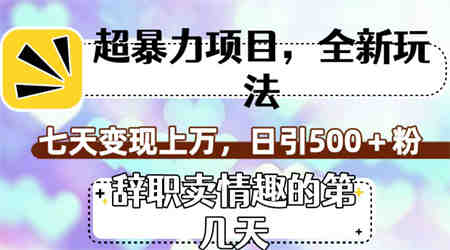 超暴利项目，全新玩法（辞职卖情趣的第几天），七天变现上万，日引500+粉-侠客分享网