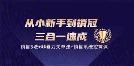 （10799期）从小新手到销冠 三合一速成：销售3法+非暴力关单法+销售系统挖需课 (27节)-侠客分享网