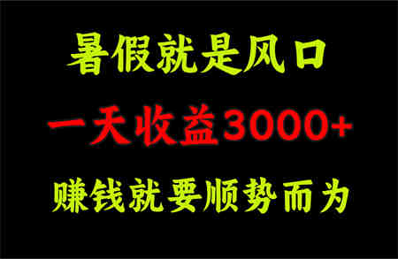 一天收益3000+ 赚钱就是顺势而为，暑假就是风口-侠客分享网